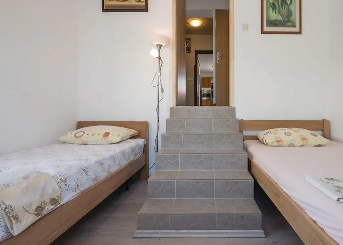 Biserka 1495 * 반졸레